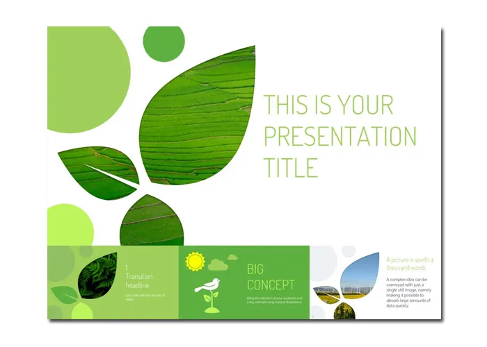 Download miễn phí 10 mẫu Slide PowerPoint chuyên nghiệp - Diwe