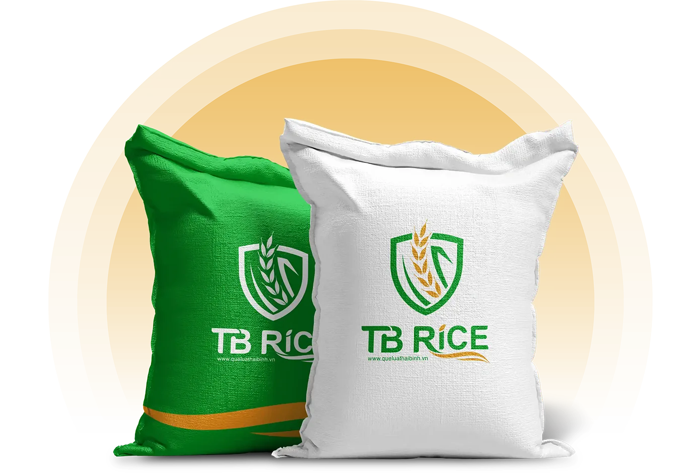 tbrice_diwe-logo